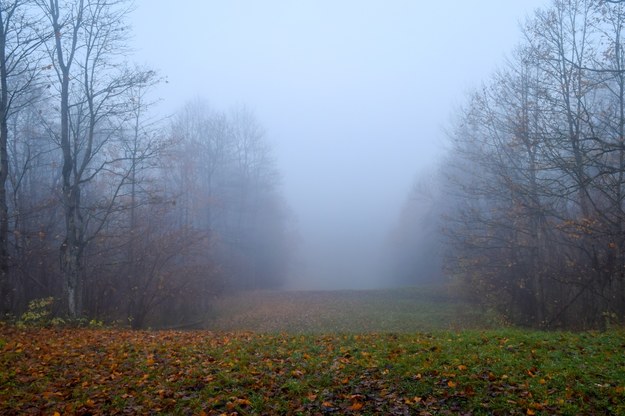 Gęste mgły w wielu regionach kraju. Ostrzeżenie IMGW