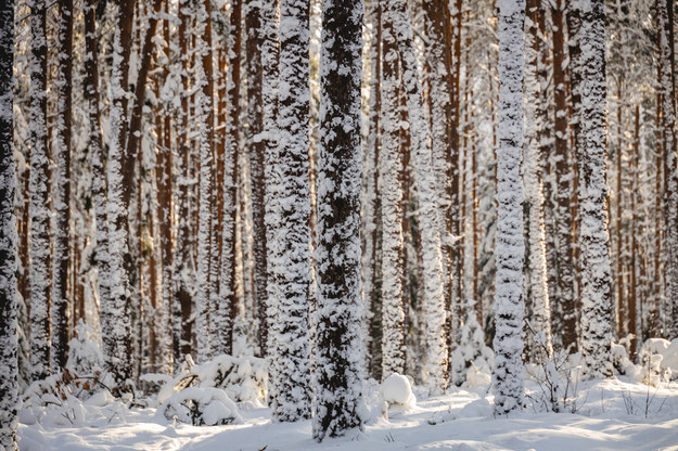 Pogoda we wtorek. Gdzie spadnie śnieg? [SPRAWDŹ PROGNOZĘ]