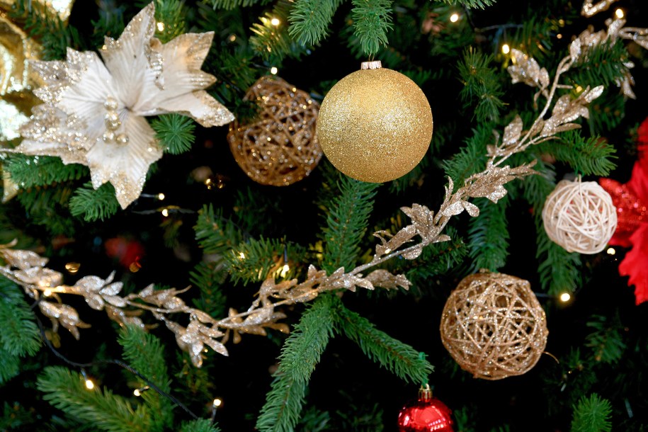 Oddasz krew, dostaniesz świąteczne drzewko. Akcja "Choinka dla życia"