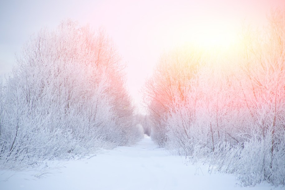 Warmińsko-Mazurskie: IMGW ostrzega przed silnym mrozem