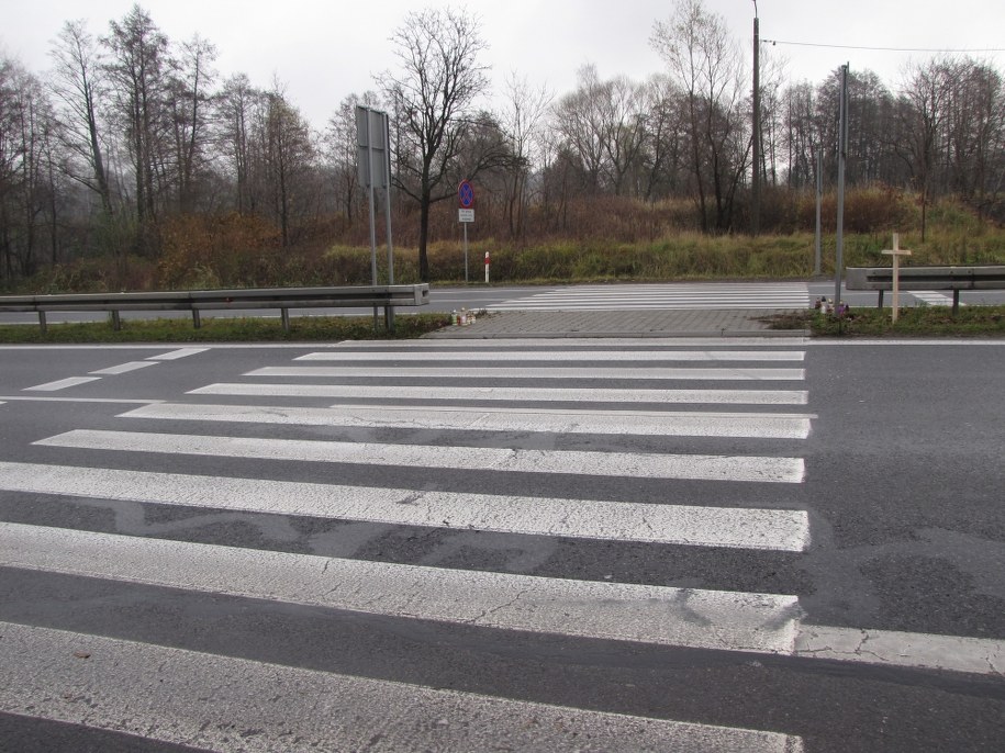 Protest przeciwko szybkiej kolei CPK. Problemy kierowców na „Wiślance”