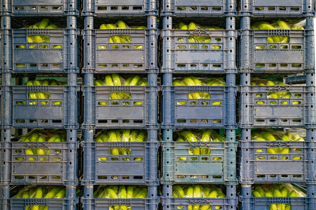 Biały proszek w bananach w kolejnych sklepach. Mowa o kilkudziesięciu kilogramach