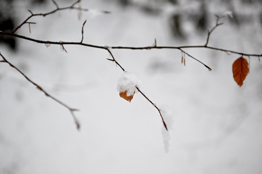 Pochmurno i z opadami. Gdzie spadnie śnieg?