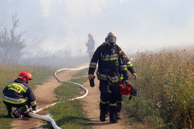 Od piątku ponad 300 pożarów. "Wypalanie traw tylko szkodzi glebie"