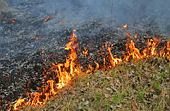 ​Tragiczny finał wypalania traw w powiecie jasielskim
