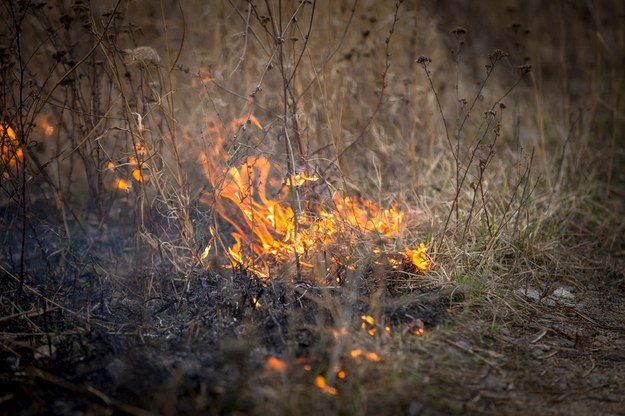 Strażak z OSP podpalał trawy, żeby za ich ugaszenie dostać pieniądze