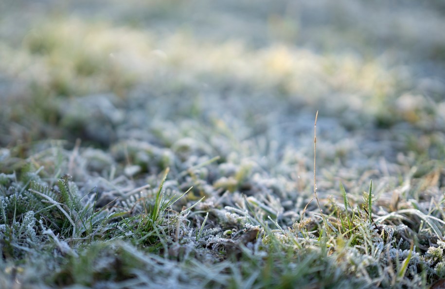 Kujawsko-pomorskie: Nocny i poranny spadek temperatury. Ostrzeżenie IMGW