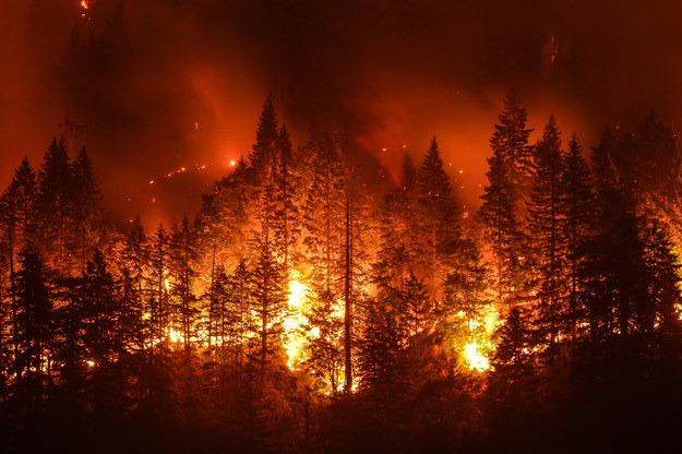 Rośnie liczba ofiar pożarów na Syberii. Brak wojska do gaszenia ognia
