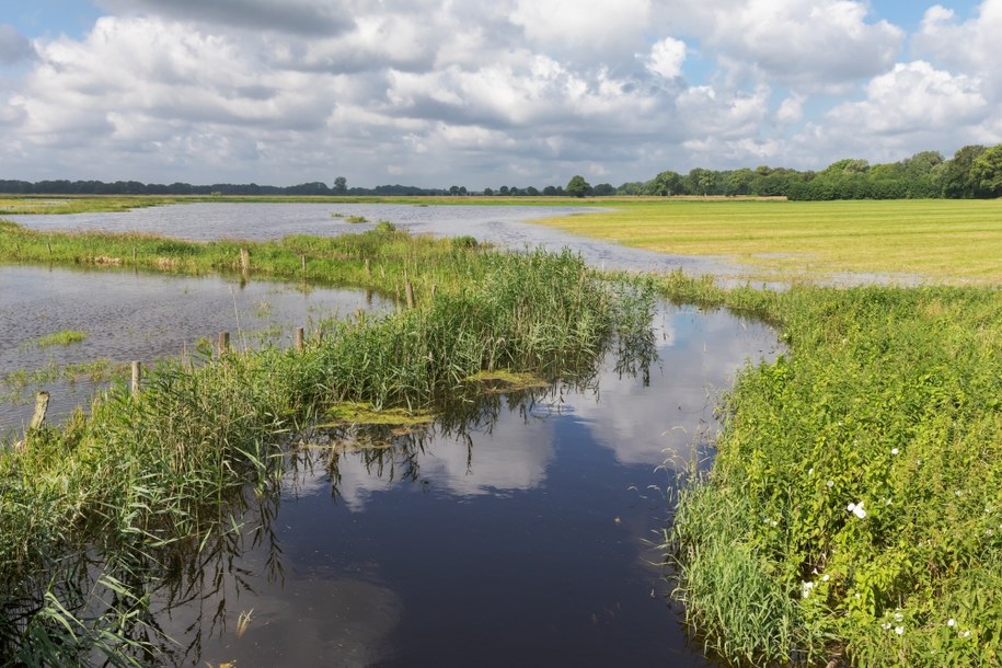 Mazowsze: Naukowcy pomogą w rozwiązaniu problemu podtopień