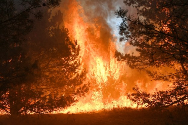Uwaga! Ekstremalnie duże zagrożenie pożarowe w lasach