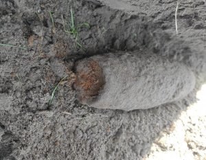 W Osinowie Dolnym usunięto niewybuchy z II wojny światowej