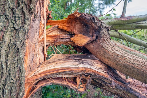 Śląskie: Ponad 150 interwencji strażaków w związku z burzami