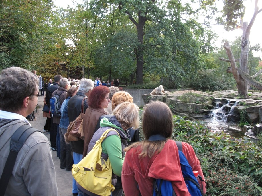 Z psem w torebce. Wrocławskie zoo o sposobach omijania zakazu