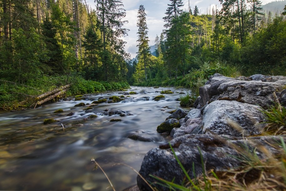 Szkolenie dla twórców internetowych "Tatry od kuchni". Są wolne miejsca