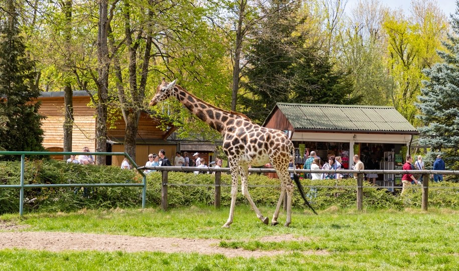 "Oscary w branży nieruchomości". Łódzkie orientarium nagrodzone