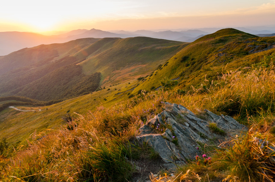 Bieszczady: W Ustrzykach Górnych mróz. W górach rykowisko jeleni