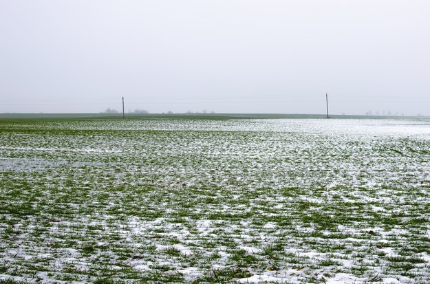 Na południu Brazylii spadł śnieg. "Fenomen atmosferyczny"