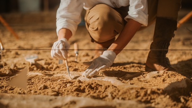 Niezwykłe odkrycie na jednej z krakowskich ulic. Archeolodzy zbadają znalezione czaszki