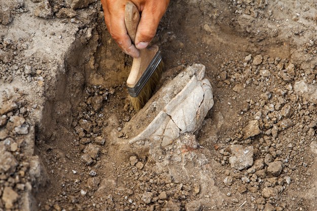 Szczątki ludzkie odnalezione podczas badań archeologicznych we Wrocławiu