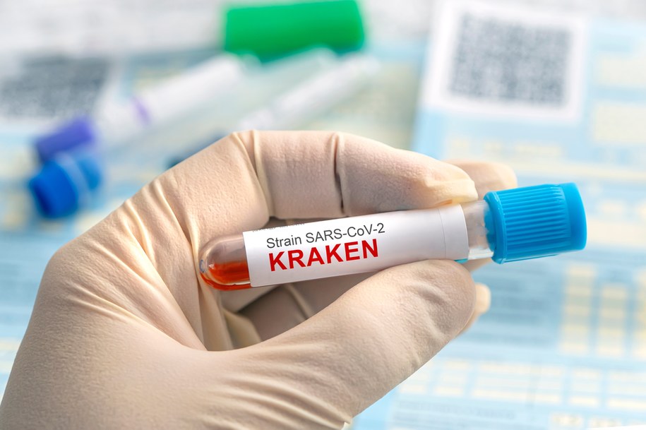 Kraken dotarł do Polski. Dwa przypadki w Łódzkiem