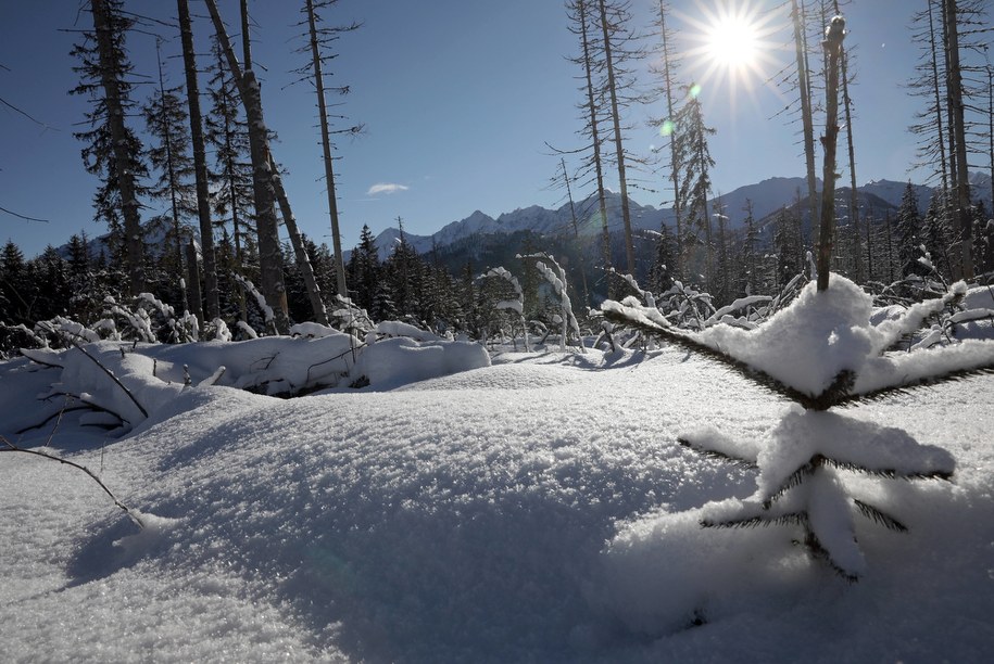 Cały obszar Tatr zamknięty dla turystów