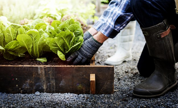 Recykling w MPO. Kup "koMPOśćik" do swojego ogrodu