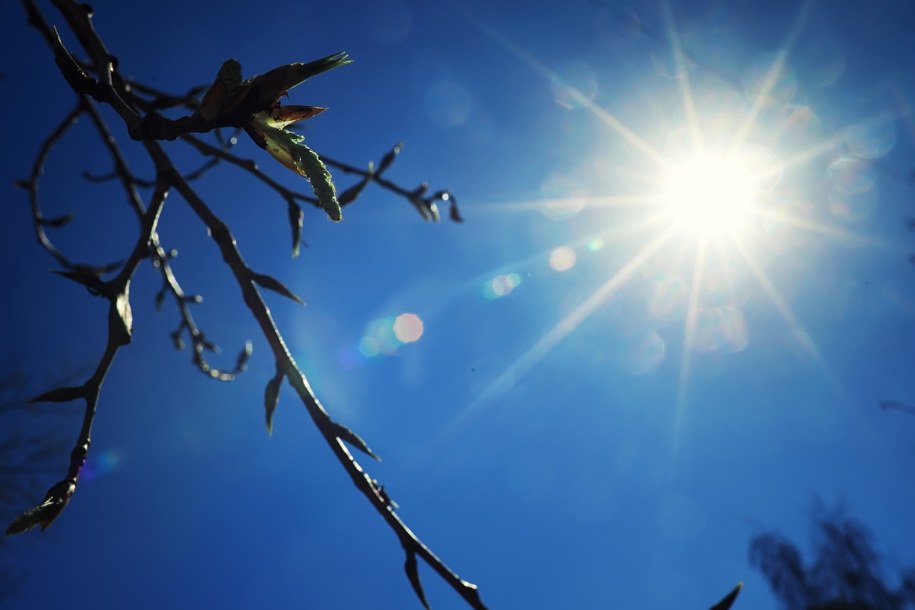 Nadchodzi odwilż. Czy to koniec zimy?