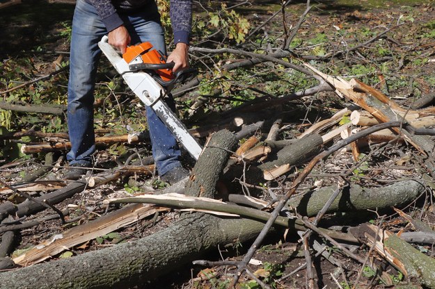 Śmiertelny wypadek przy wycince drzewa w Warmińsko-Mazurskiem