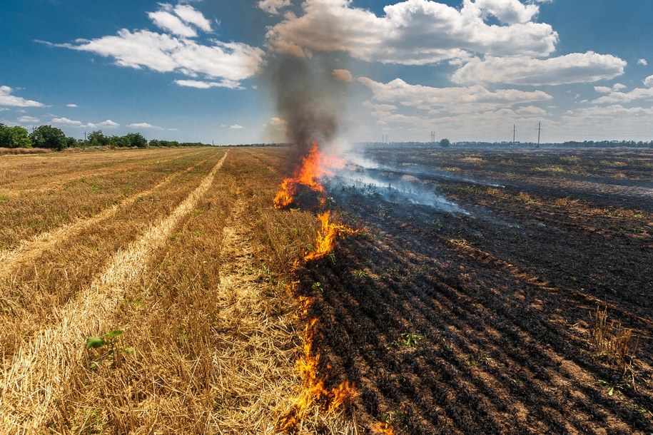 Strażacy już blisko 60 razy wyjeżdżali do pożarów traw