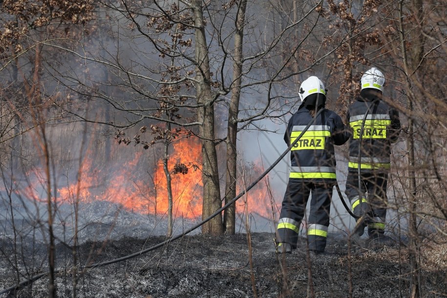 Warmińsko-mazurskie. Gwałtowny wzrost pożarów suchych traw