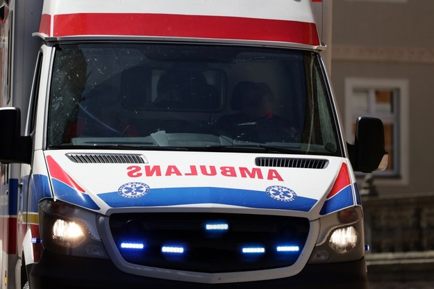 Nieszczęśliwy wypadek w Katowicach. Pies odgryzł chłopcu dwa palce
