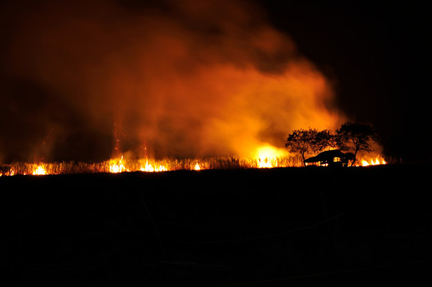 Huragan i płomienie w raju. Katastrofa na Hawajach