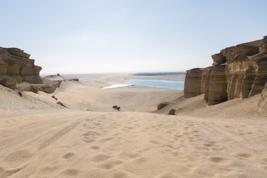 Niezwykłe odkrycie w Egipcie. Gatunek wieloryba sprzed 41 mln lat