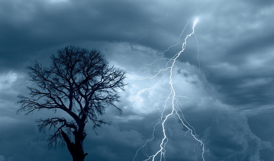 Sześć osób rannych po uderzeniu pioruna. Szukali schronienia pod drzewem