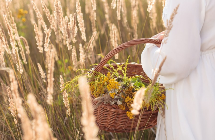 Święto ziół w olsztyneckim skansenie
