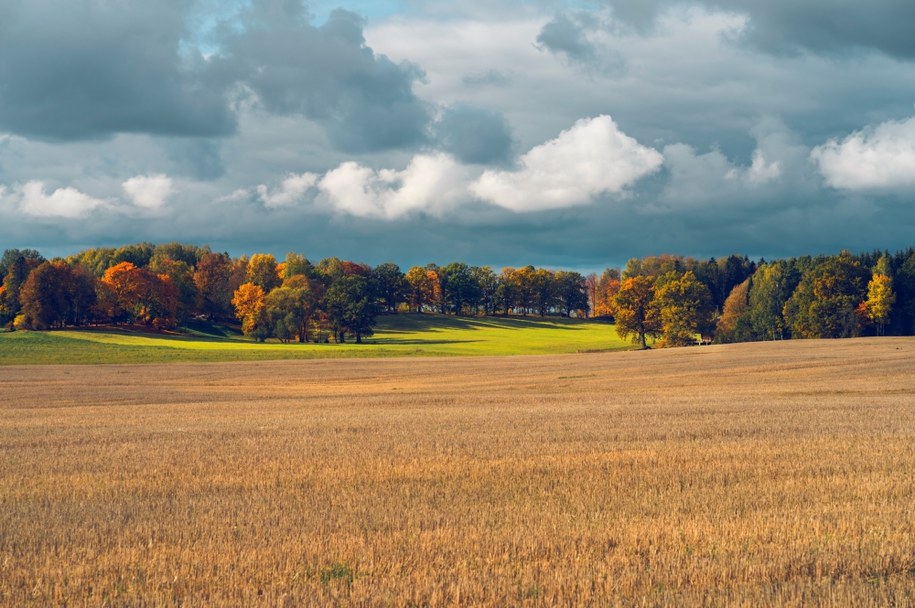 Przed nami ostatnie dni lata. Synoptycy zapowiadają nadejście jesieni