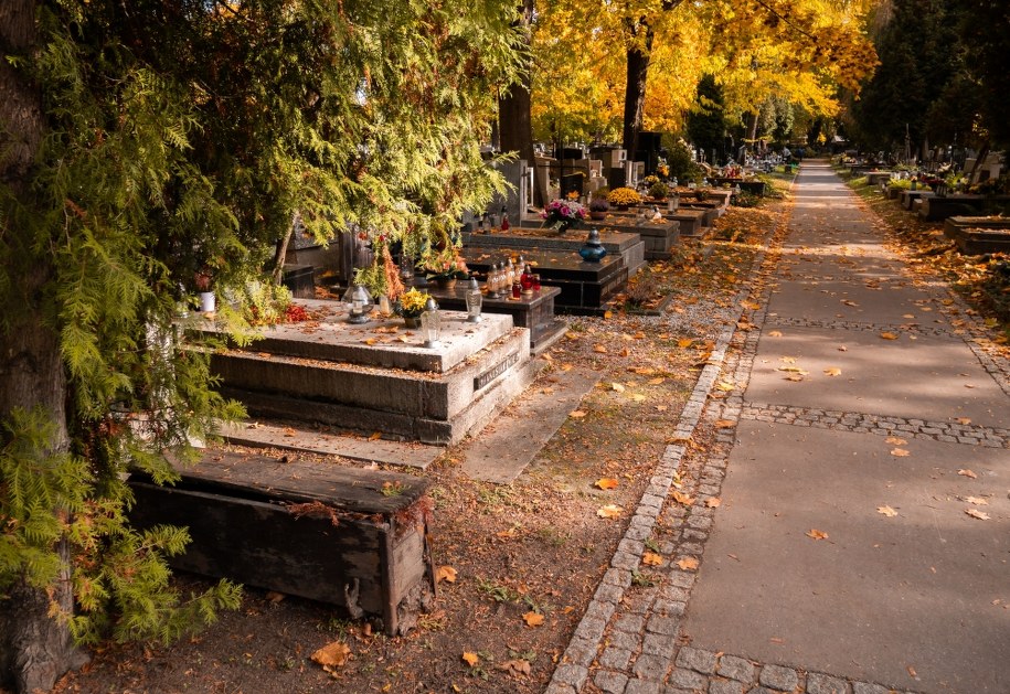 Grozili seniorce nożem. Nastolatkowie odpowiedzą za usiłowanie rozboju