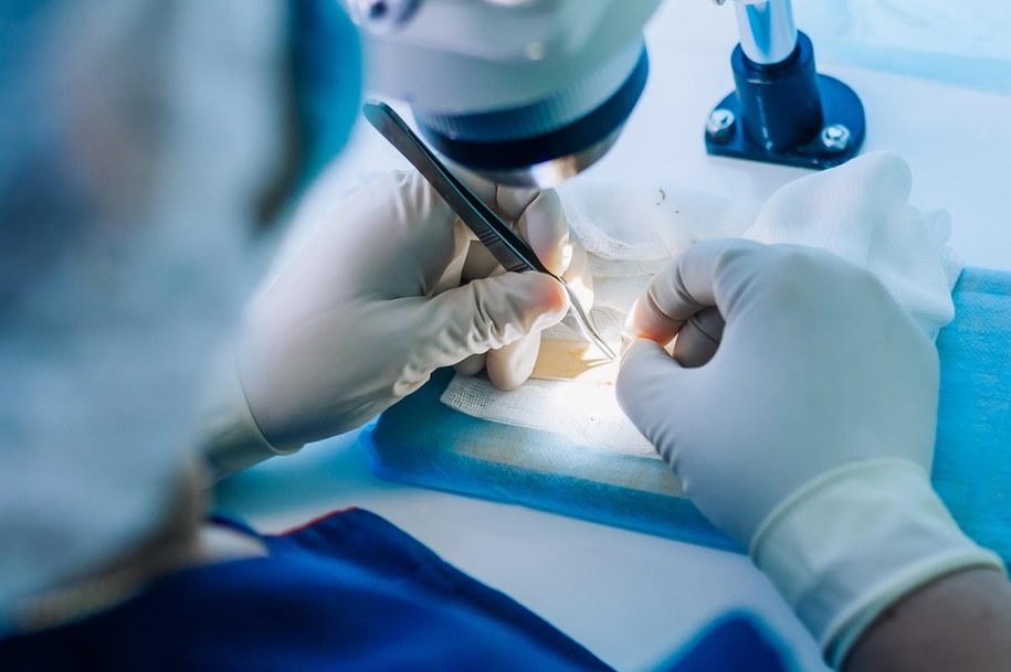 "Fascynuje Cię biologia sądowa?". Niezwykła propozycja wrocławskiej uczelni