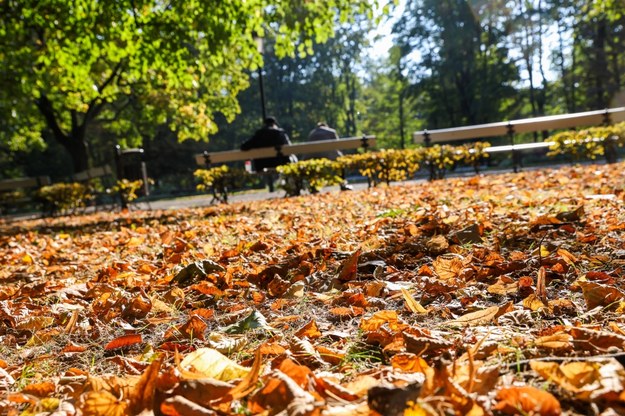 Od 2 do 20 stopni. Ogromna różnica temperatury w Polsce