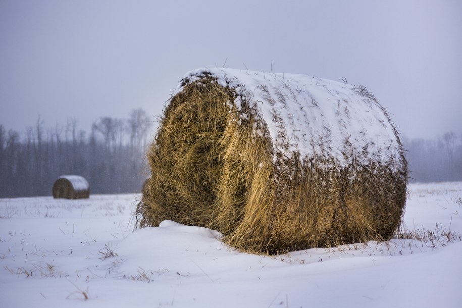 Tragedia w gospodarstwie. 67-latek zginął przygnieciony belą siana