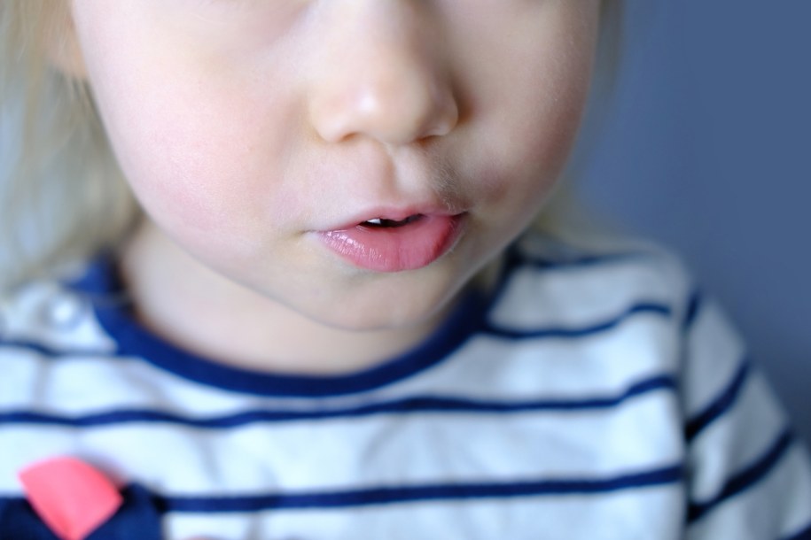 Dwulatka sama na poboczu drogi