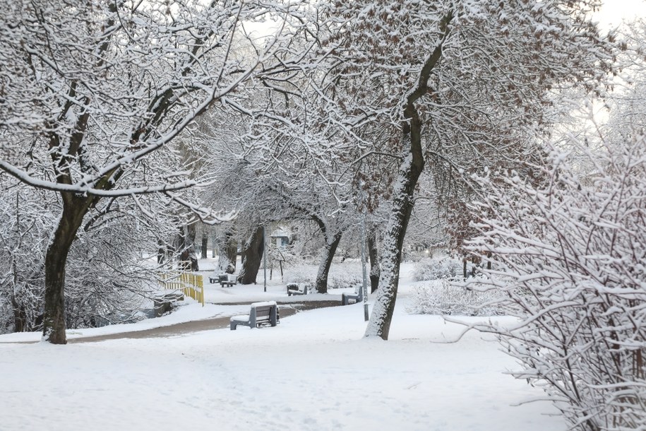 Od minus 6 do plus 11. Ogromna różnica temperatury w Polsce