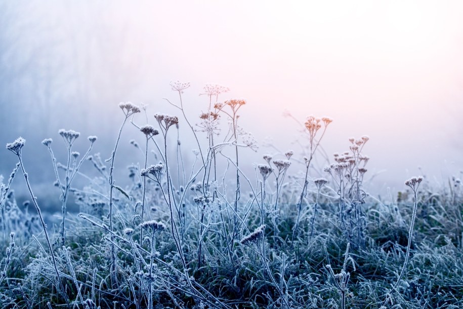 Mroźne noce i poranki. Antycyklon sięgnie Polski