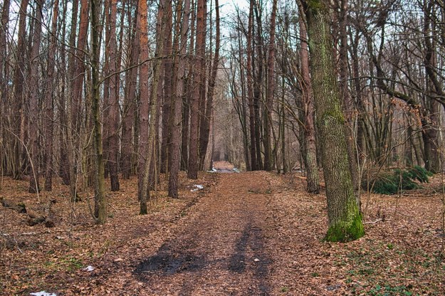 Tragiczny finał poszukiwań 22-latka