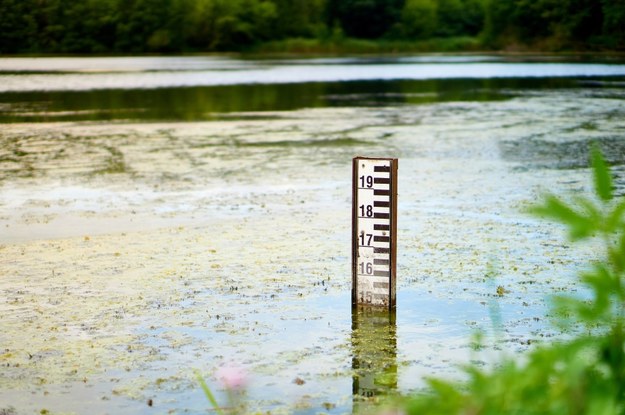Wzrost poziomu wody w dwóch stawach w Bytomiu