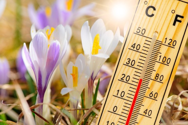 Wiosna nadejdzie wcześniej. Ten tydzień z temperaturą do 17 st. C