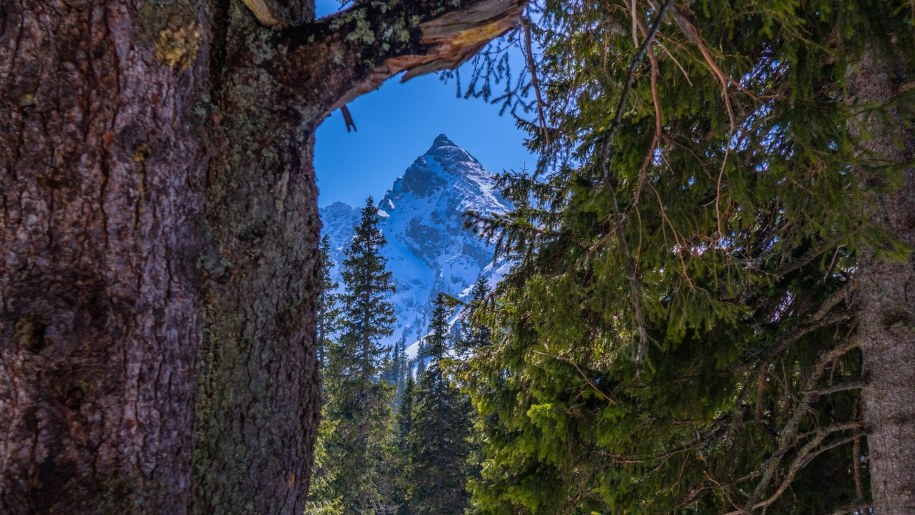 Od dzisiaj górskie szlaki w Tatrach będą zamknięte po zmroku