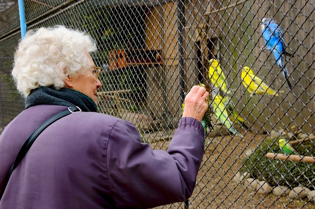 Naukowcy sprawdzają, czy wizyty w zoo poprawią zdrowie seniorów