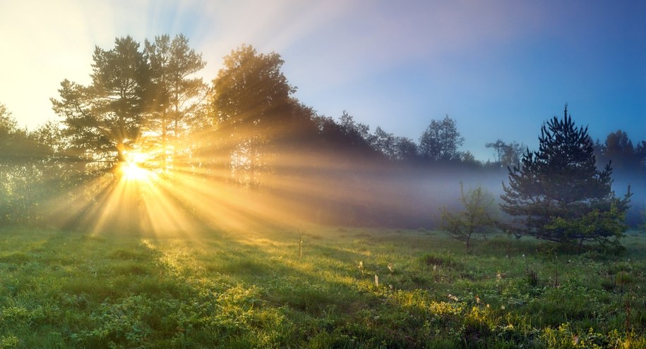 Deszczowo i pochmurno, w weekend cieplej. Prognoza pogody na nowy tydzień