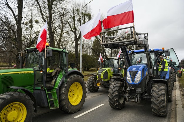 Protest rolników w Poznaniu. Wysypali obornik na ulicę [FILM]
